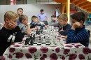 Városi sakkverseny