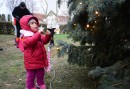 Karácsonyfa díszítés Börgöndpusztán
