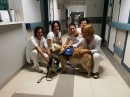 Terápiás kutyák a kórházban