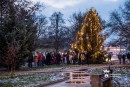 Karácsonyfa állítás a Vasvári előtti téren