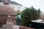 Városház térre érkezett a Karácsonyfa