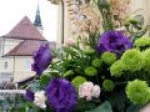 Virágálom Pünkösdkor 2011. június 11. 