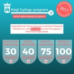 Kégl György Városi Egészségügyi Program - infografika