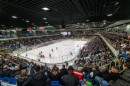 arena_dsc_9916.jpg